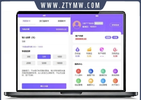 V8版本京东淘宝自动抢单系统源码