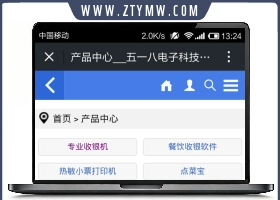 12套ASP企业网站源码|PC版 手机