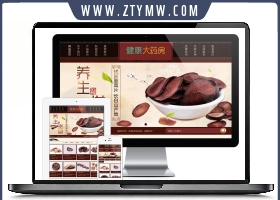 古典风格养生滋补保健品鹿茸虫草