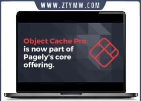 Object Cache Pro v1.21.2开心版