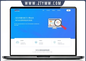SEO按天扣费系统源码SEO计费系统