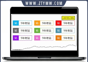 蓝叶Emlog程序网站显示年龄插件